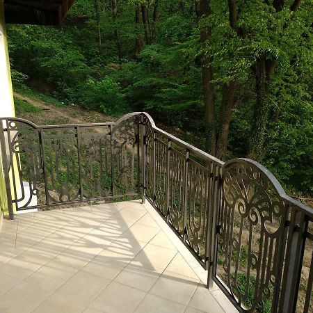 Apartament Ramona Apartment Brasov Exterior photo