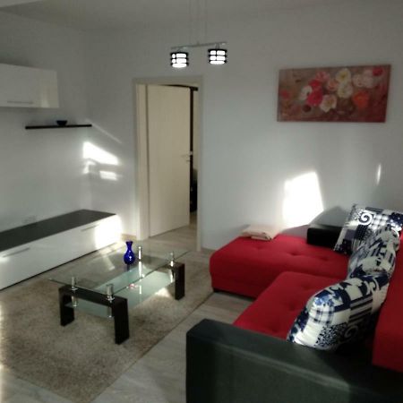 Apartament Ramona Apartment Brasov Exterior photo