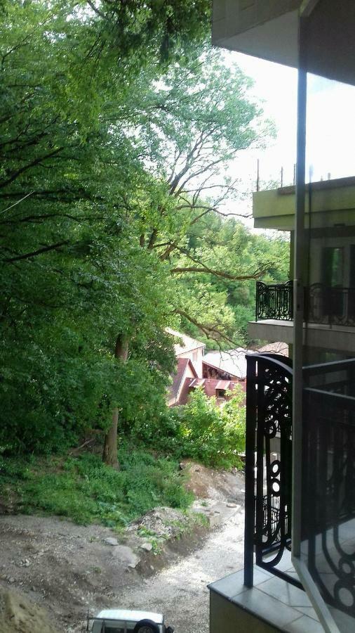 Apartament Ramona Apartment Brasov Exterior photo