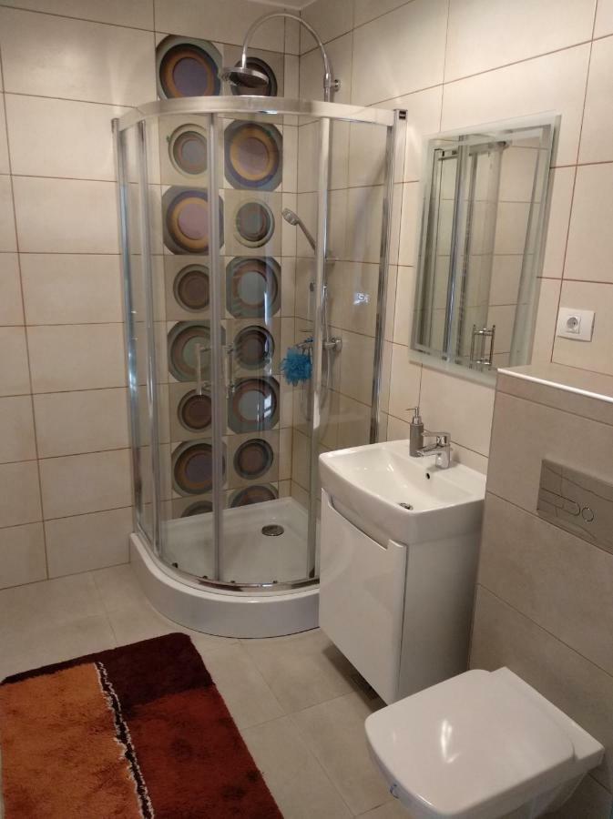 Apartament Ramona Apartment Brasov Exterior photo