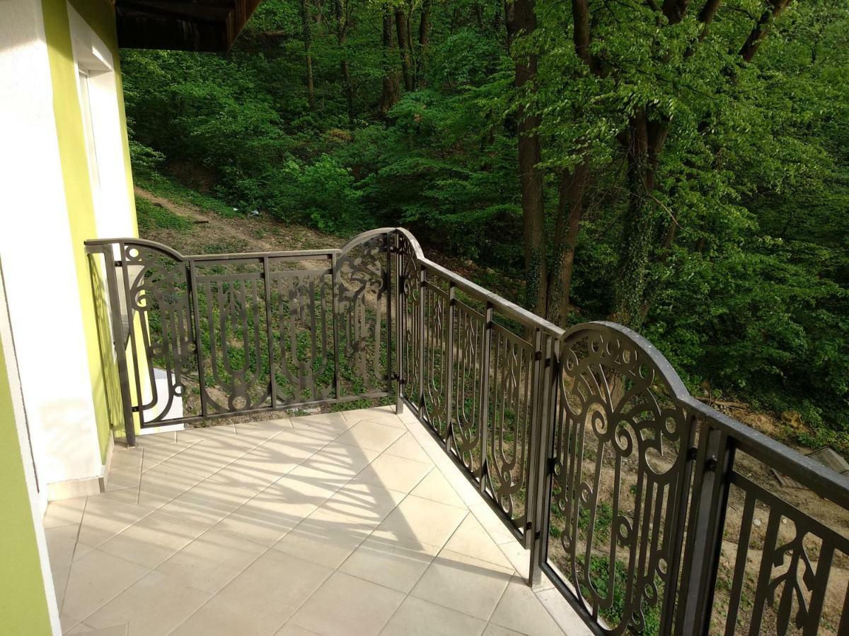 Apartament Ramona Apartment Brasov Exterior photo
