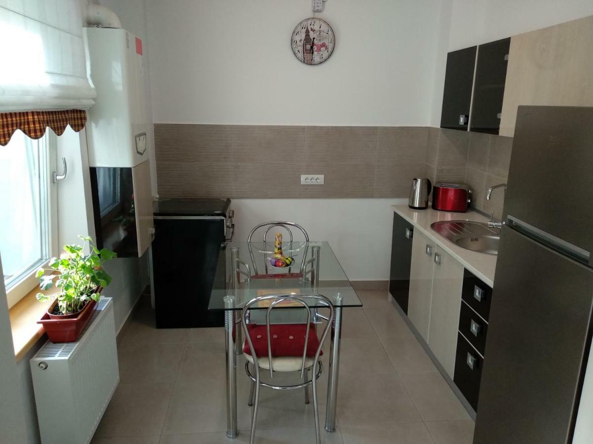 Apartament Ramona Apartment Brasov Exterior photo