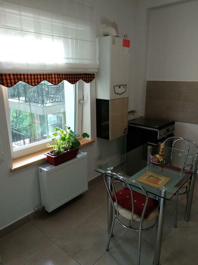 Apartament Ramona Apartment Brasov Exterior photo