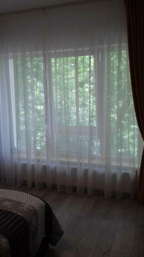 Apartament Ramona Apartment Brasov Exterior photo