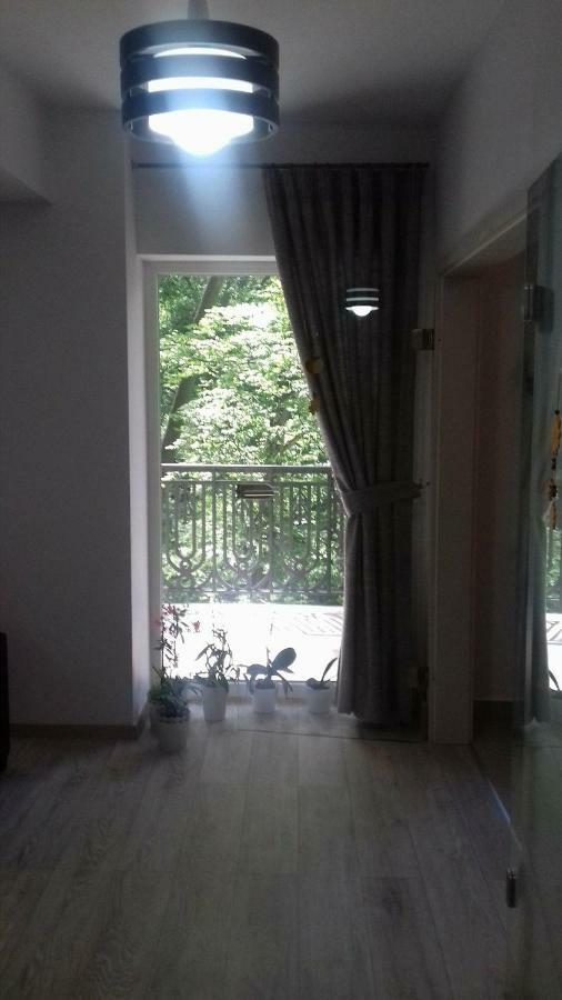 Apartament Ramona Apartment Brasov Exterior photo